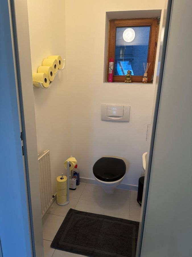 Klimatisiertes Dachgeschoss City Apartment In Zentrum Wiens المظهر الخارجي الصورة